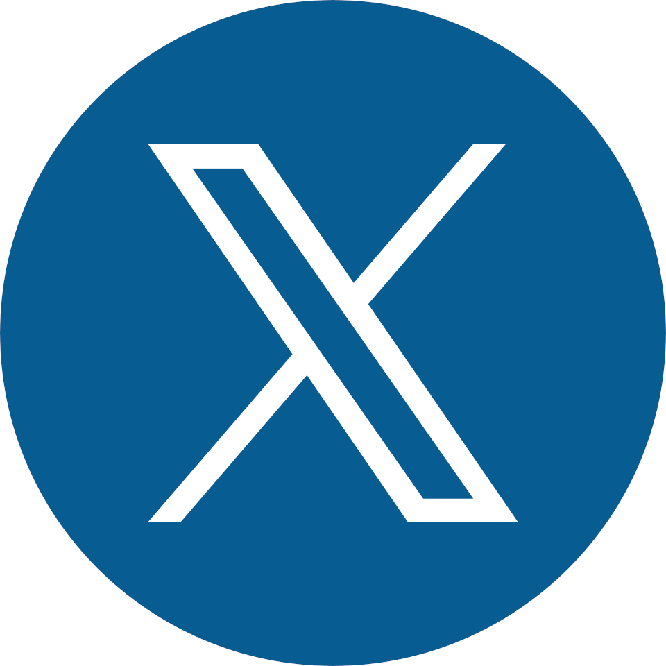 icono X